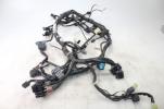 17-20 Kawasaki Versys-X 300 KLE300 Main Engine Wiring Harness 26031-2372