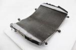 18-22 Kawasaki Ninja H2 SX SE ZX1002 Engine Radiator Cooling Cooler 39060-0734