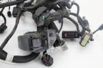 2020 Indian Challenger Main Engine Wiring Harness