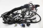 17-19 Harley-Davidson Ultra Limited Flhtk Main Engine Wiring Harness ABS