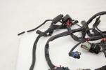 17-22 Harley Davidson Sportster 883 Main Wiring Harness ABS