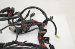 17-22 Harley Davidson Sportster 883 Main Wiring Harness ABS