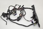 17-22 Harley Davidson Sportster 883 Main Wiring Harness ABS