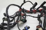 17-22 Harley Davidson Sportster 883 Main Wiring Harness ABS