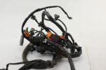 2004 Harley Dyna Wide Glide Fxdwg Main Engine Wiring Harness