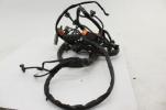 2004 Harley Dyna Wide Glide Fxdwg Main Engine Wiring Harness