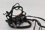 2004 Harley Dyna Wide Glide Fxdwg Main Engine Wiring Harness