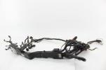 2015 Harley Davidson Freewheeler Main Engine Wiring Harness