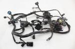 18-21 Kawasaki Ninja 400 Ex400 Main Wiring Harness