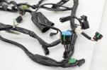 18-21 Kawasaki Ninja 400 Ex400 Main Wiring Harness