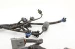 04-05 Harley Davidson Electra Road King Main EFI Fuel Injection Wiring Harness