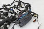 2019 Indian Chieftain Main Engine Wiring Harness