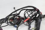 17-18 Harley Davidson Freewheeler Main Engine Wiring Harness