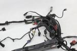 17-18 Harley Davidson Freewheeler Main Engine Wiring Harness