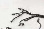 17-18 Harley Davidson Freewheeler Main Engine Wiring Harness