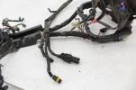 2011 Harley Davidson Softail Deluxe Main Engine Wiring Harness