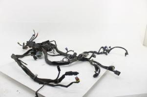 08-10 Harley-davidson Night Train Main Engine Wiring Harness