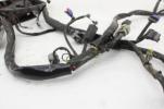 08-10 Harley-davidson Night Train Main Engine Wiring Harness