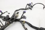 08-10 Harley-davidson Night Train Main Engine Wiring Harness