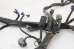 08-10 Harley-davidson Night Train Main Engine Wiring Harness