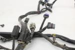 08-10 Harley-davidson Night Train Main Engine Wiring Harness