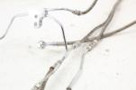 09-13 Harley Davidson Electra King Road Street Front Brake Line ABS set pair