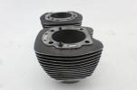 09-16 Harleydavidson Electra Glide Engine Motor Cylinder Block Jug set