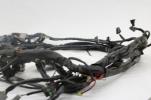 02-03 Harley Davidson Touring Road King Glide Electra EFI Wiring Harness