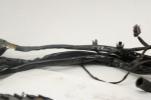 02-03 Harley Davidson Touring Road King Glide Electra EFI Wiring Harness