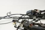 02-03 Harley Davidson Touring Road King Glide Electra EFI Wiring Harness