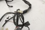 2006 06 Harley Davidson Road King FI Main Wiring Harness 