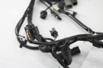 2017 Harley Davidson Street Glide CVO Main Wiring Harness