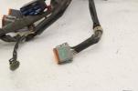 01-03 Harley Dyna Super Glide Low Rider 2003 Wide Glide Main Wiring Harness