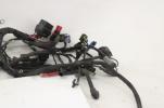 17-23 Harley Davidson Street Glide Main Engine Wiring Harness