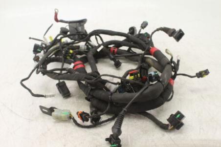 17-19 Ducati Monster 797 Main Engine Wiring Harness 5101b851e