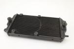 15-20 Harley Davidson Street XG500 XG750 500 750 Engine Cooler Cooling Radiator