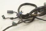 04-05 Harley Davidson Electra Road King Main EFI Fuel Injection Wiring Harness