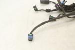 04-05 Harley Davidson Electra Road King Main EFI Fuel Injection Wiring Harness