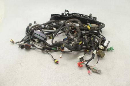 2018 Aprilia Tuono V4 1100 Main Engine Wiring Harness 2d000302