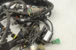 2018 Aprilia Tuono V4 1100 Main Engine Wiring Harness 2d000302