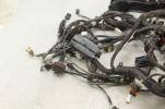 2018 Aprilia Tuono V4 1100 Main Engine Wiring Harness 2d000302