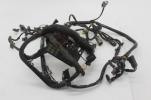 2006 06 Harley Davidson Heritage Flstc Main Engine Wiring Harness