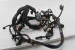 2006 06 Harley Davidson Heritage Flstc Main Engine Wiring Harness