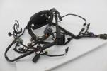 2006 06 Harley Davidson Heritage Flstc Main Engine Wiring Harness