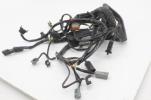 2006 06 Harley Davidson Heritage Flstci Main Engine Wiring Harness