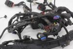 17-20 Harley Davidson Iron 1200 Main Engine Wiring Harness