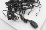 17-20 Harley Davidson Iron 1200 Main Engine Wiring Harness