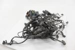 14-16 Bmw S1000rr Main Engine Wiring Harness