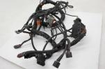 2004 04 Harley Davidson Electra Glide Ultra Classic Flhtcui Main Engine Wiring