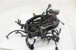 13-17 Harley Dyna Street Fat Bob Low Rider Wide Glide Main Wiring Harness